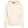 Basic hoodie Thumbnail